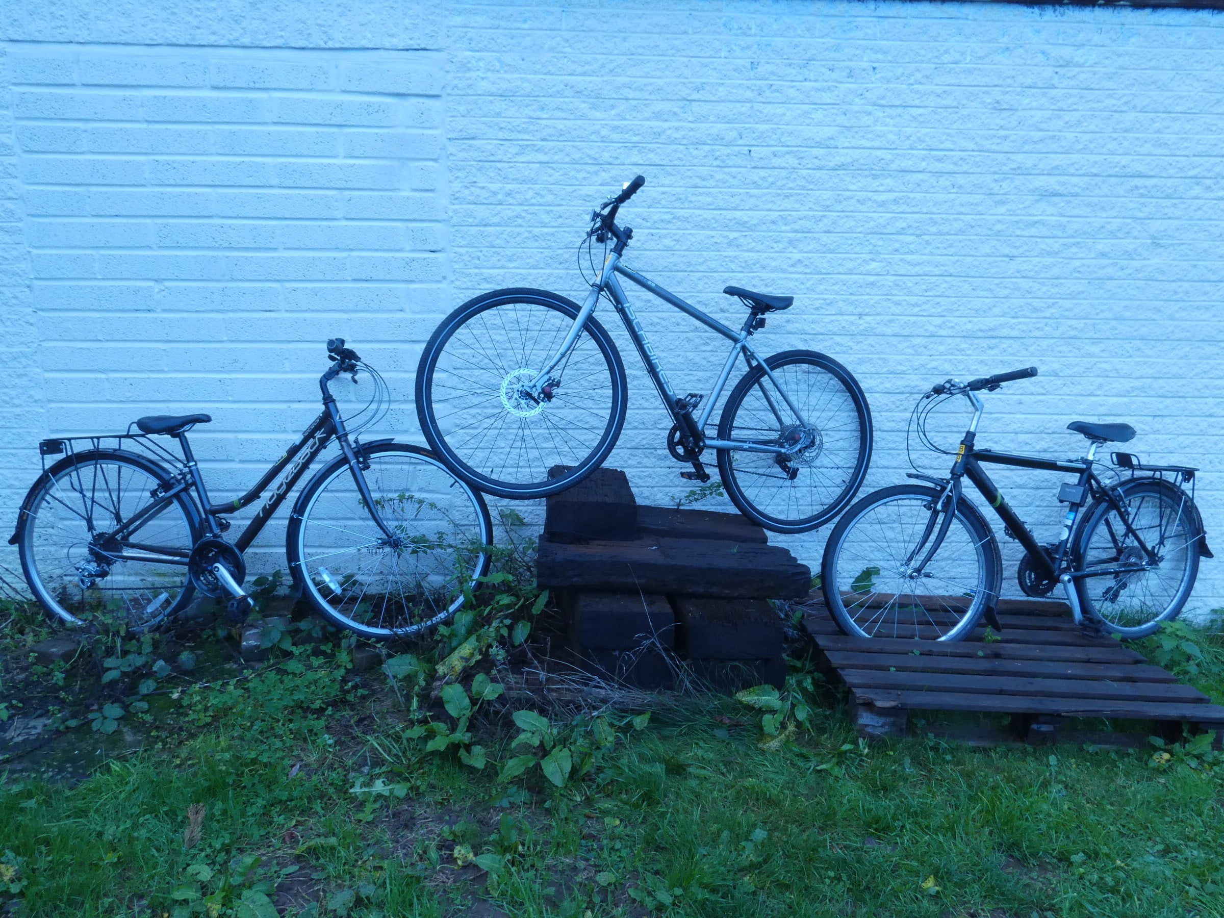 Three adult size two wheeler cycles in a line against a white wall
